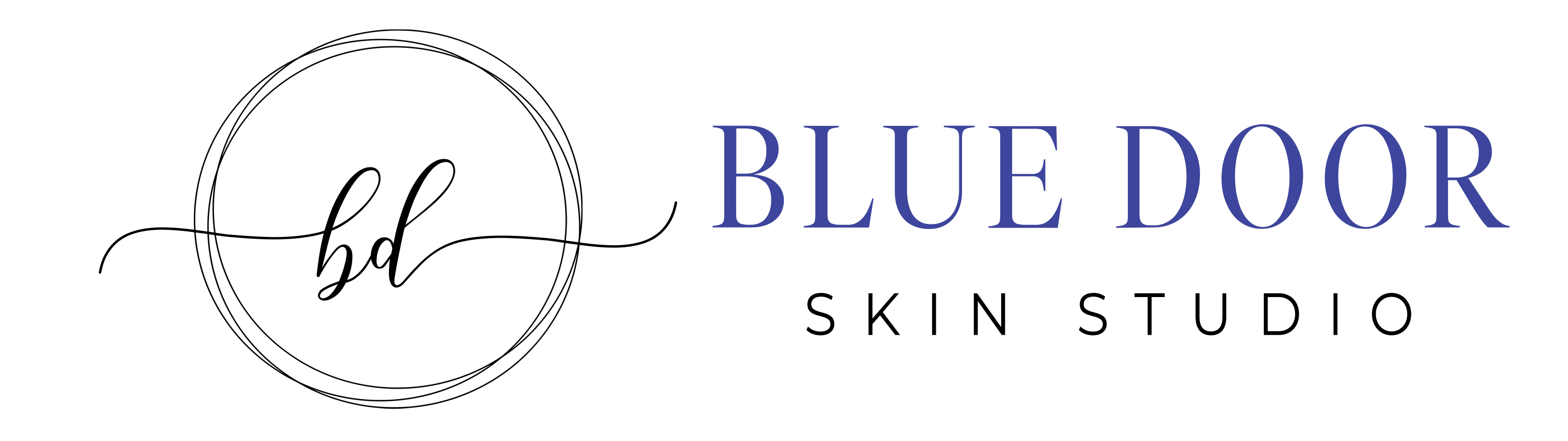 Blue Door Skin Logo