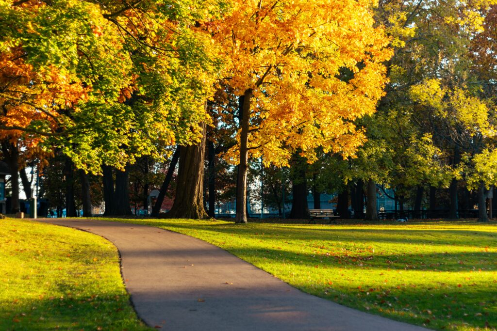 Skincare for Autumn