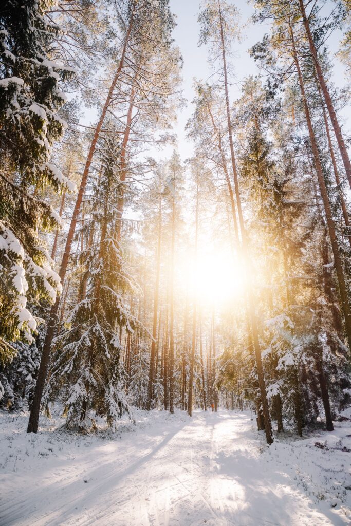 Skincare for Winter
